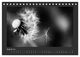 Thumbnail-13