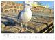 Thumbnail-12