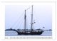 Thumbnail-9