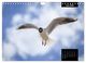 Thumbnail-8