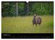 Thumbnail-12