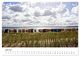 Thumbnail-8