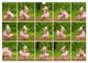 Thumbnail-12