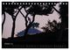 Thumbnail-12
