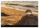 Thumbnail-11