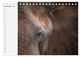 Thumbnail-14