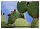 Thumbnail-12