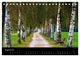 Thumbnail-10