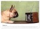 Thumbnail-10