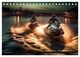 Thumbnail-14