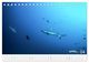 Thumbnail-9