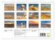Thumbnail-13