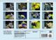 Thumbnail-14