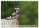 Thumbnail-9