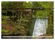 Thumbnail-13