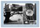 Thumbnail-14