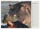 Thumbnail-11