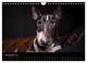 Thumbnail-13