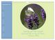 Thumbnail-11