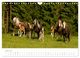 Thumbnail-9