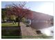 Thumbnail-8