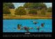 Thumbnail-11