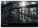 Thumbnail-14