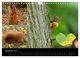 Thumbnail-14
