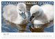 Thumbnail-9