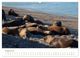 Thumbnail-12