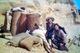 Thumbnail-2