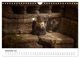 Thumbnail-14