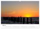 Thumbnail-10