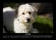 Thumbnail-11