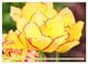Thumbnail-10