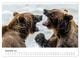 Thumbnail-14