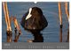 Thumbnail-9