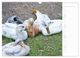 Thumbnail-14