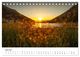 Thumbnail-11