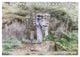 Thumbnail-9