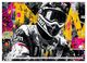Thumbnail-12