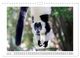 Thumbnail-11