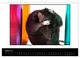 Thumbnail-9
