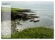 Thumbnail-13