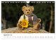 Thumbnail-14