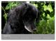Thumbnail-12