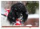 Thumbnail-14