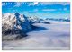 Thumbnail-10