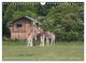Thumbnail-9
