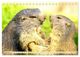 Thumbnail-14